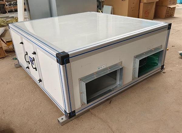 乐动官网（中国）